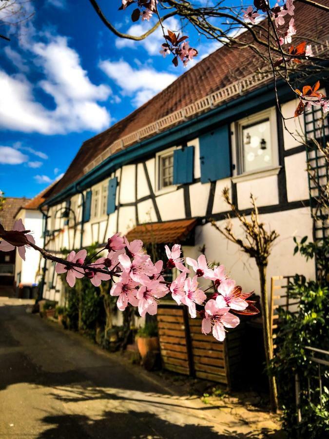 Hexenhaeuschen Dreieichenhain Экстерьер фото