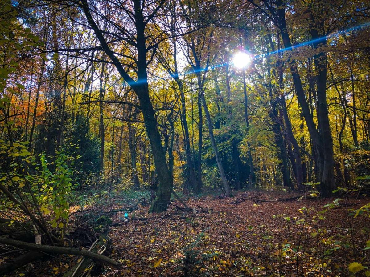 Hexenhaeuschen Dreieichenhain Экстерьер фото